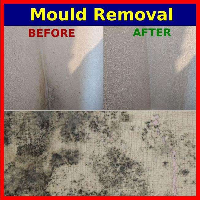 Rainbow International - Mould Removal, York and North Yorkshire