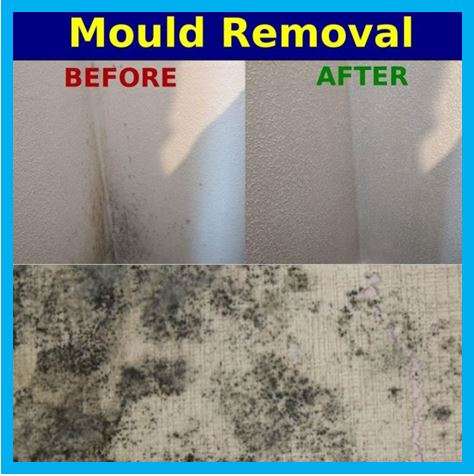 Damp and Mould - Removal, York and Yorkshire