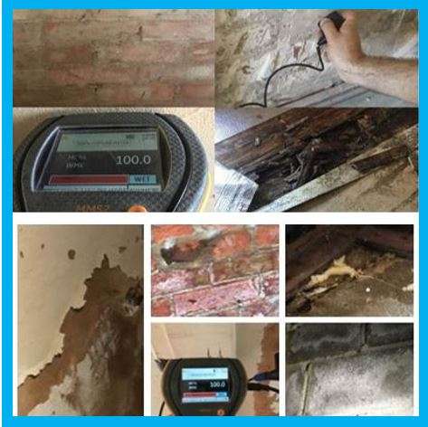 Damp and Mould - Surveys, York and Yorkshire