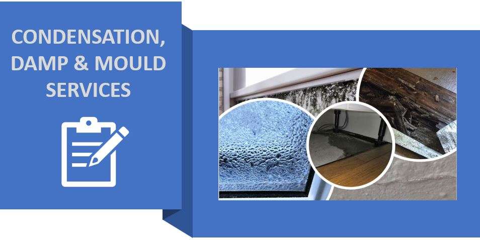 Condensation, Damp and Mould - York & Yorkshire