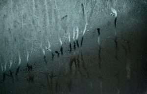 Damp on Walls from Condensation
