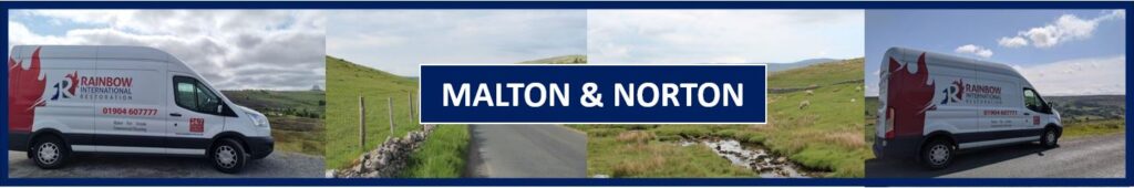 Leak Detection in Malton and Norton, North Yorkshire
