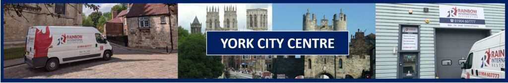 Leak Detection in York City Centre, North Yorkshire