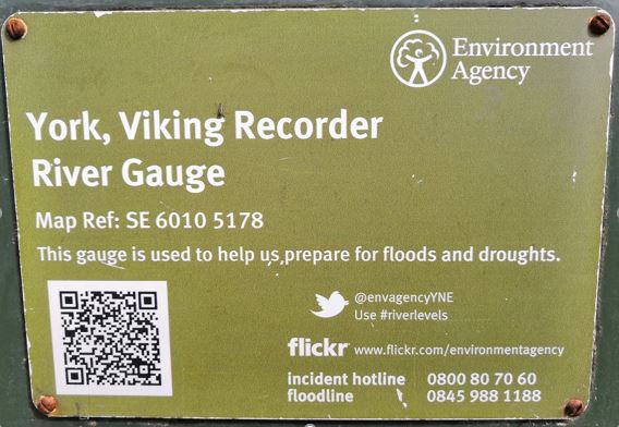 Viking Recorder - Environment Agency, York.