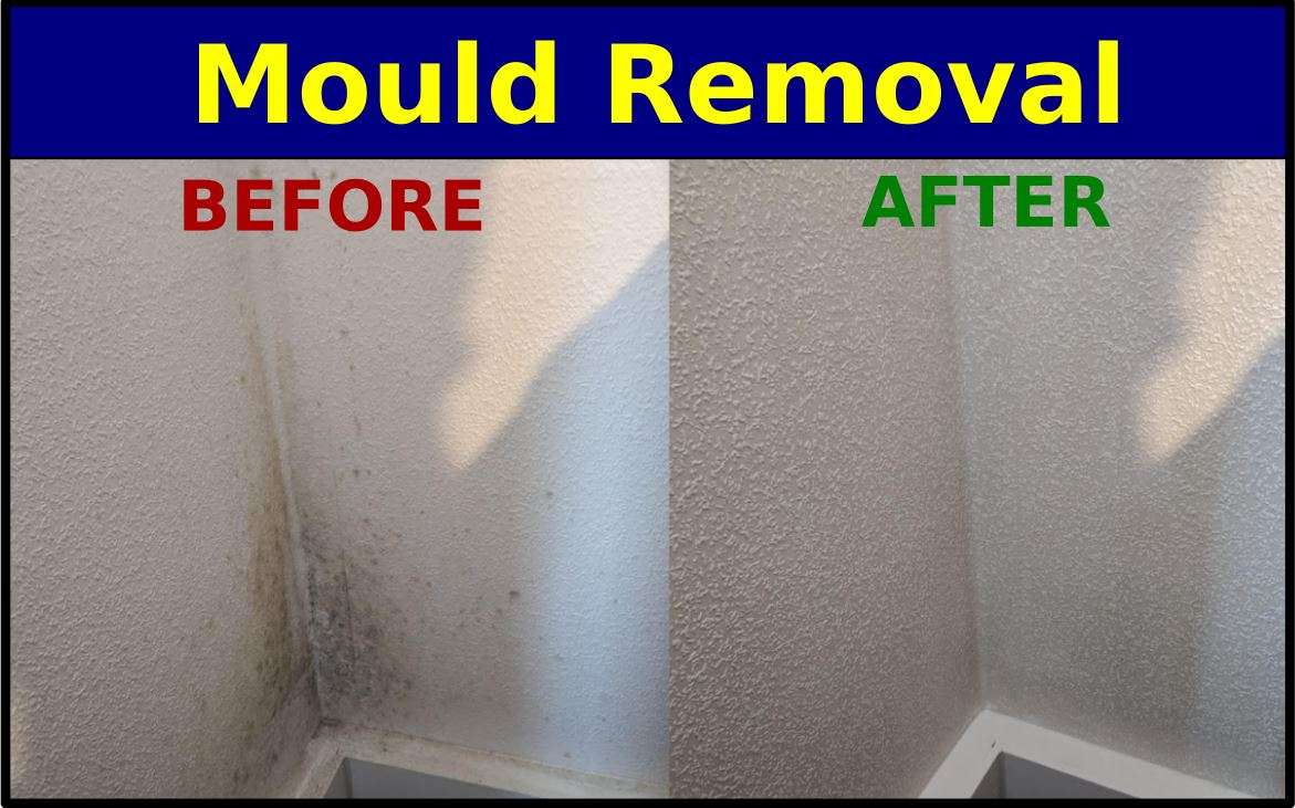 Mould on Walls 5 Useful Tips to Stop It
