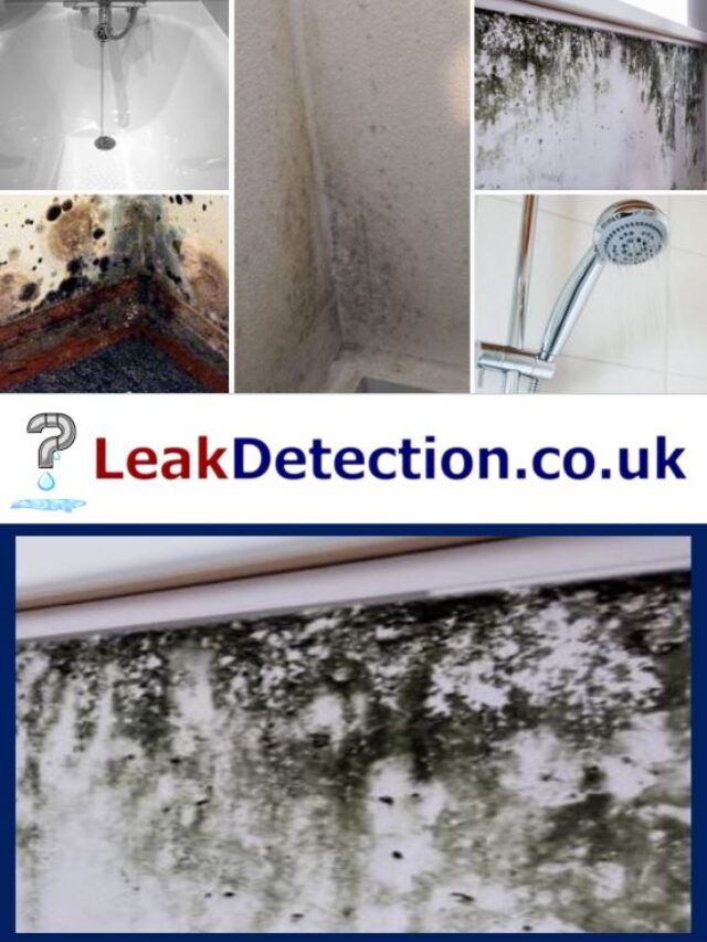 Mould on Walls and Ceilings - How to Stop