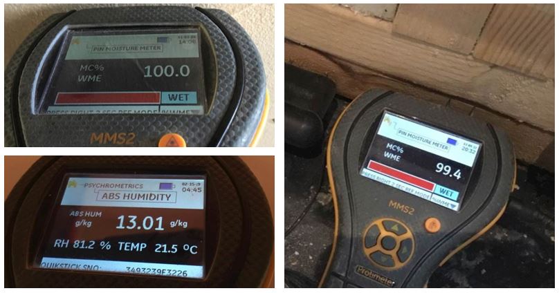 Protimeter Moisture Meter