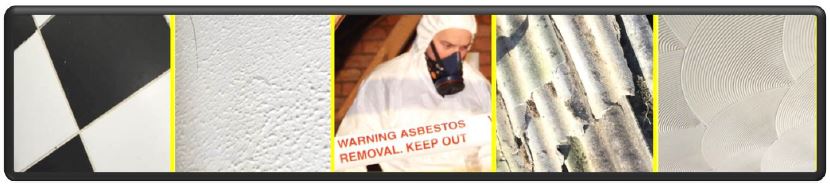 Asbestos Services