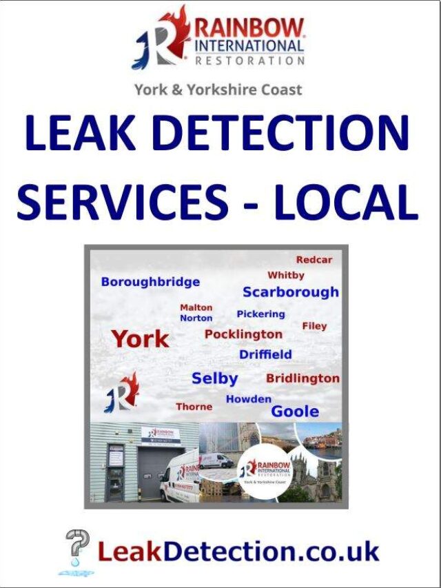 Local Water Leak Detection