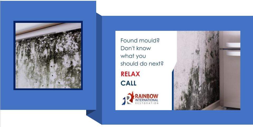 Exposure to Mould