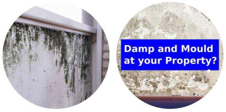 Landlord Damp and Mould Services