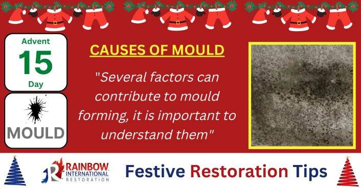 Causes of Mould