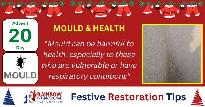 Mould Health