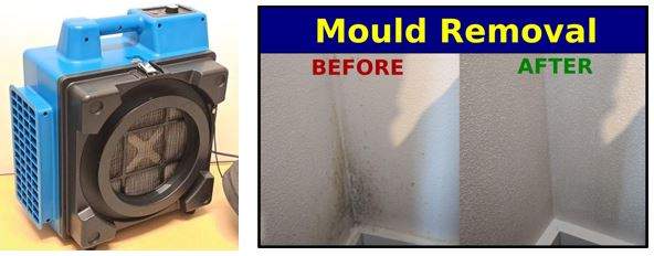 Mould Removal Air Scrubber