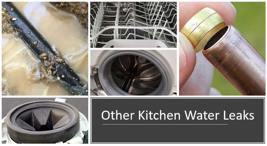 Kitchen Water Leaks