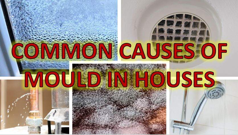 Causes of Mould in Houses