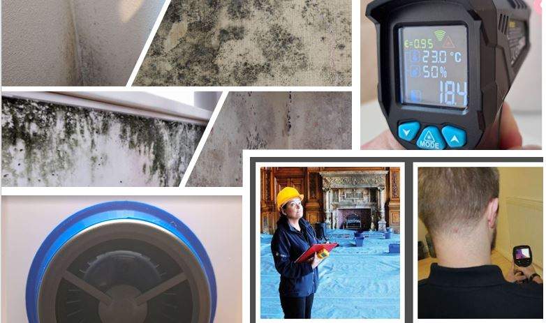 Mould Survey Service York