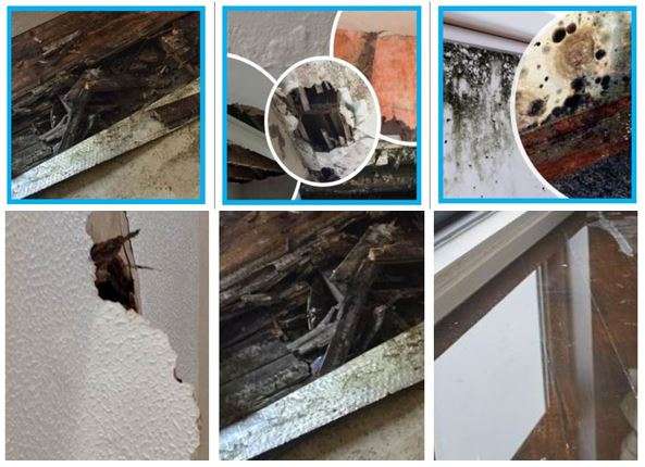 Water Leak Repairs Damage