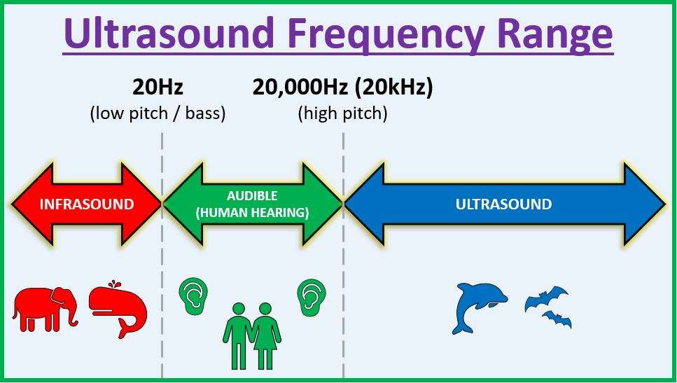 Ultrasound Frequency Range