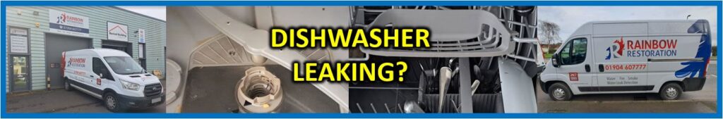 Dishwasher Leak