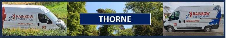 Leak Detection Thorne