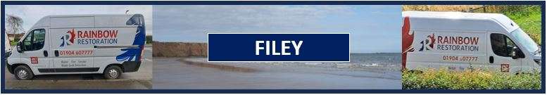 Leak Detection Filey