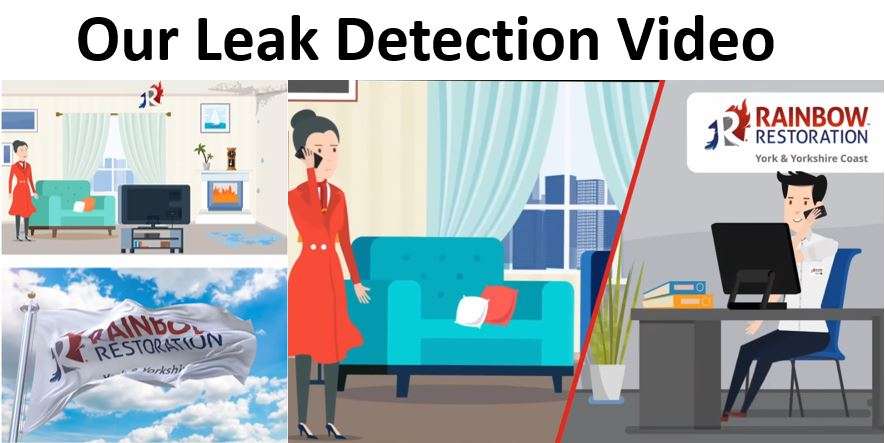 Leak Detection Video